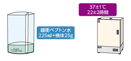 ホモジナイズと培養のイメージ
