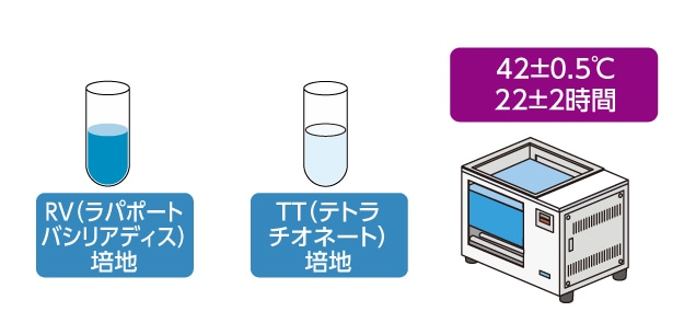 恒温水槽での培養イメージ
