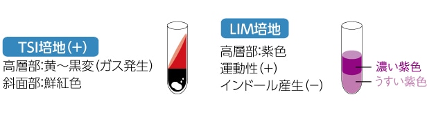 判定のイメージ