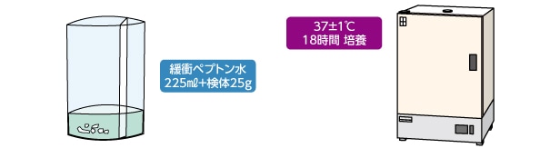 ホモジナイズと培養のイメージ