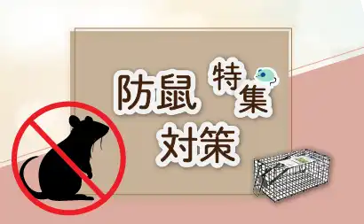 防鼠対策特集