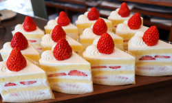 ケーキ屋・お菓子屋（洋菓子店、和菓子店）を開業予定、営業中の方必見！
